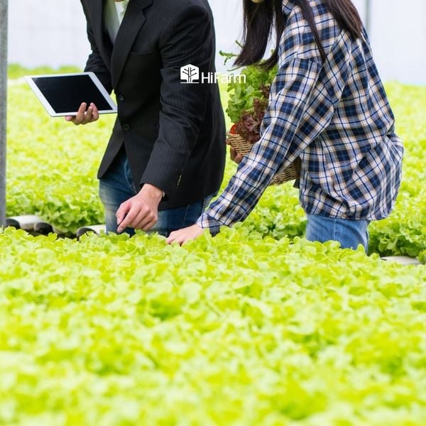 Tiêu chí để đánh giá một dự án nông nghiệp sạch