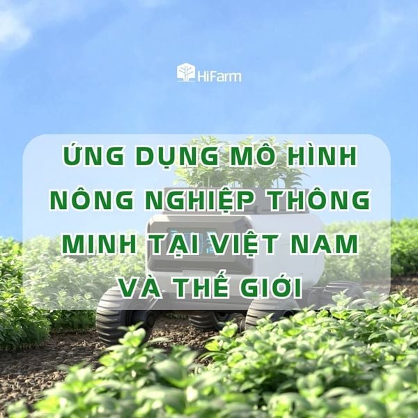 Ứng dụng mô hình nông nghiệp thông minh tại Việt Nam và thế giới
