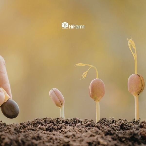 Giống cây trồng