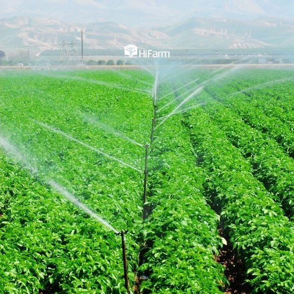 Mô hình được áp dụng tại Việt Nam