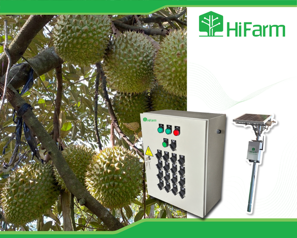 Hệ thống tưới thông minh, tự động, chuyên nghiệp HiFarm