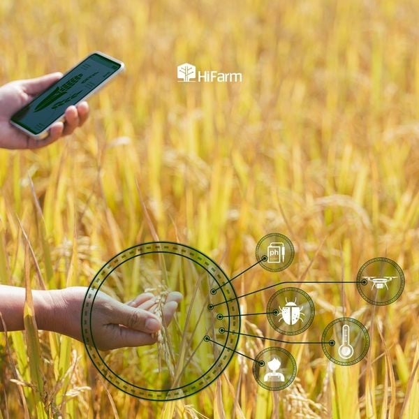 Nông nghiệp thông minh là gì?