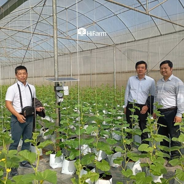 Ứng dụng công nghệ thông minh (IoT) vào giám sát