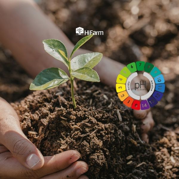 Phản ứng của đất