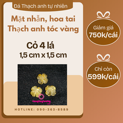 Hình ảnh bài viết