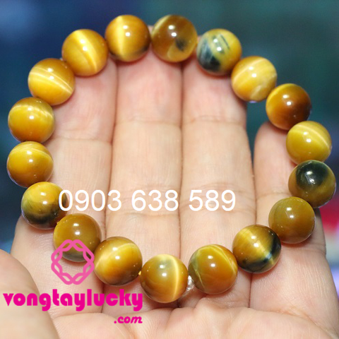 Hình ảnh bài viết