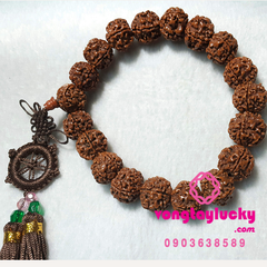 Hình ảnh bài viết