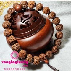 Hình ảnh bài viết