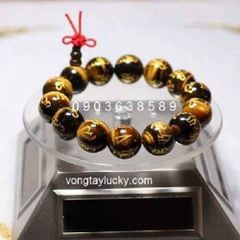 Hình ảnh bài viết