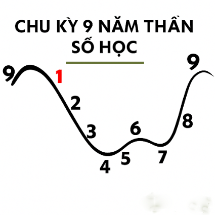 Hình ảnh bài viết