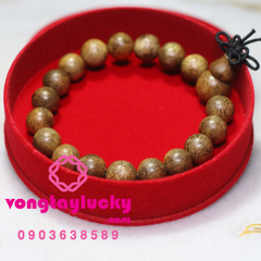 Hình ảnh bài viết