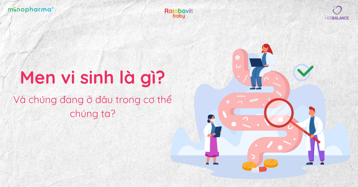 Men vi sinh – người bạn đồng hành thầm lặng với sức khỏe con người