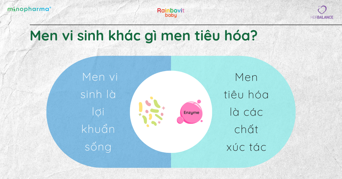 Men vi sinh – người bạn đồng hành thầm lặng với sức khỏe con người