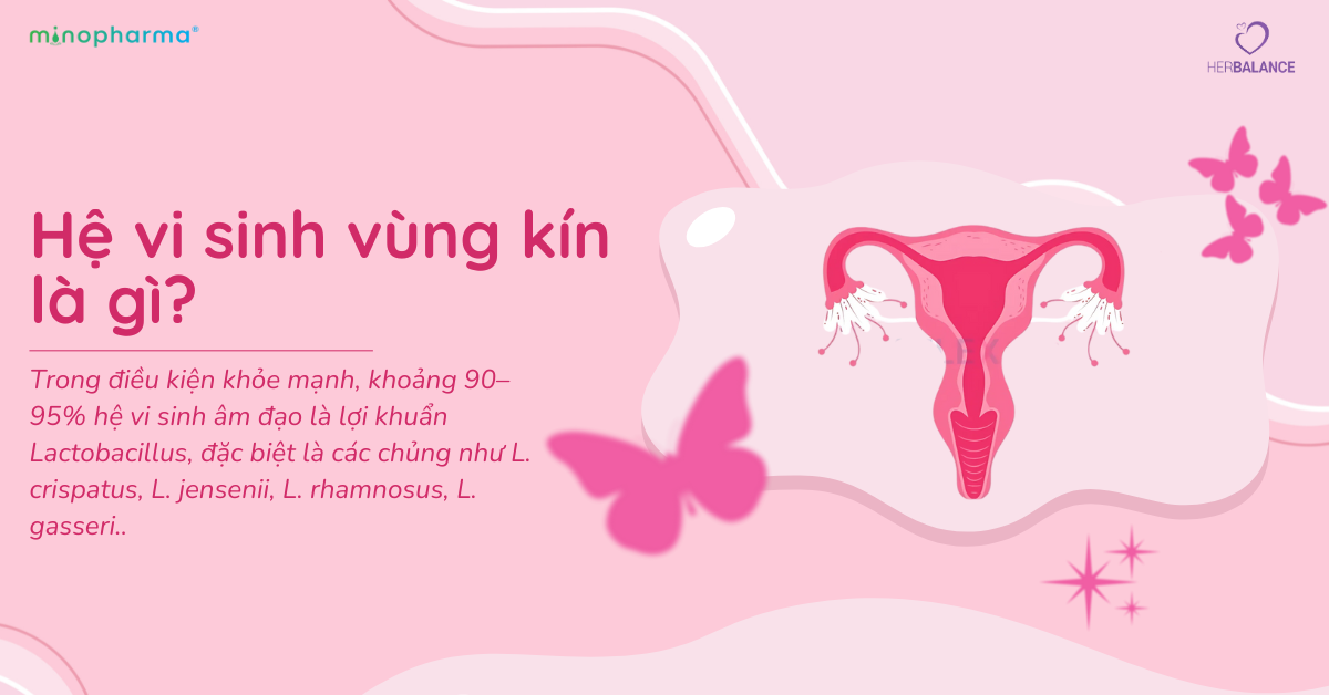 Hệ vi sinh vùng kín – lớp bảo vệ tự nhiên của phụ nữ