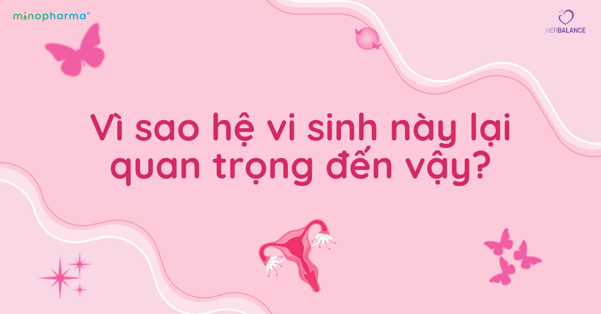 Hệ vi sinh vùng kín – lớp bảo vệ tự nhiên của phụ nữ