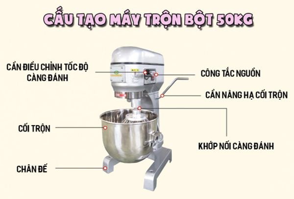 Lời khuyên từ chuyên gia SIECO: Bí quyết lựa chọn máy nhồi bột công nghiệp