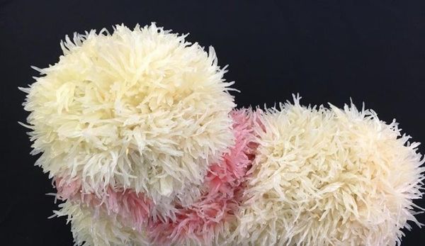 huong-dan-lam-cho-buoi-cuc-xinh-trang-tri-mam-co-trung-thu