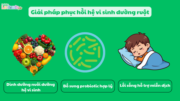 Hình ảnh bài viết