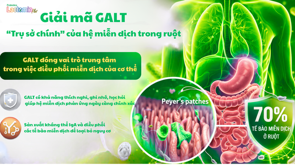 Hình ảnh bài viết