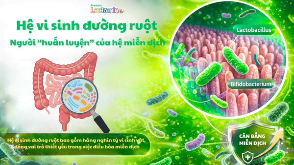 Hình ảnh bài viết