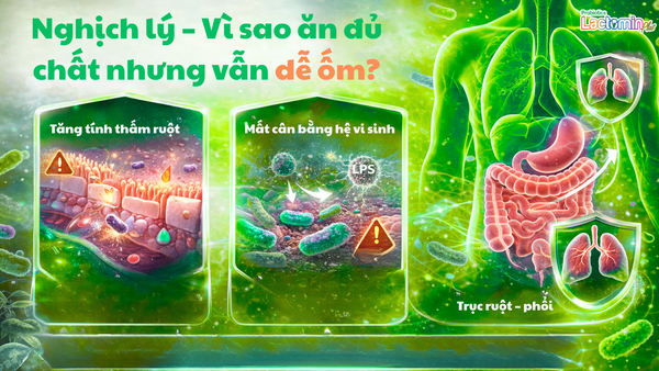 Hình ảnh bài viết