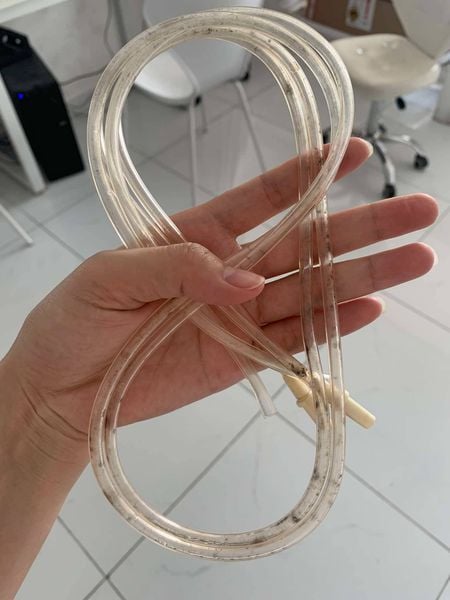 Dây hút sữa bị nấm mốc