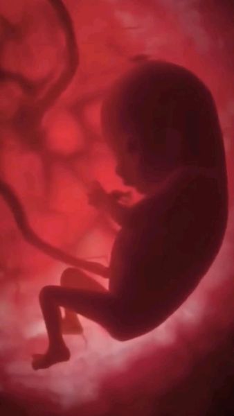 Thai nhi thay đổi tư thế liên tục