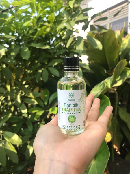 Tinh dầu tràm chiết xuất tự nhiên