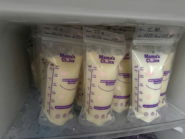 Túi trữ sữa Mama's Choice