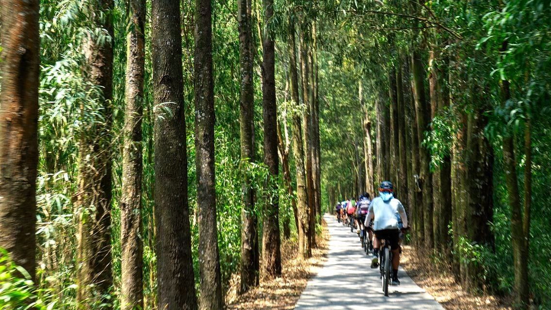 MEKONG DELTA CYCLING JOURNEY THROUGH TRA VINH AND CHAU DOC