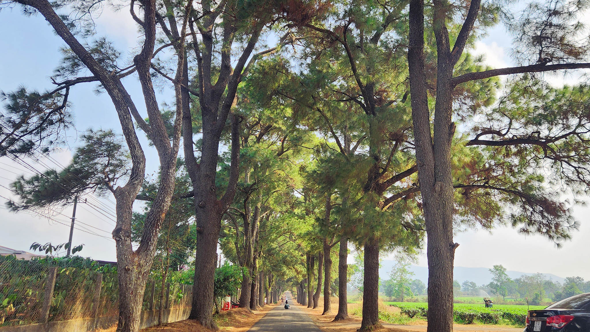 DISCOVERING THE CULINARY HERITAGE OF VIETNAM’S CENTRAL HIGHLANDS