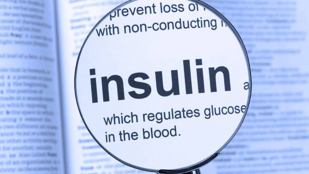 Insulin có vai trò quan trọng trong quá trình trao đổi chất