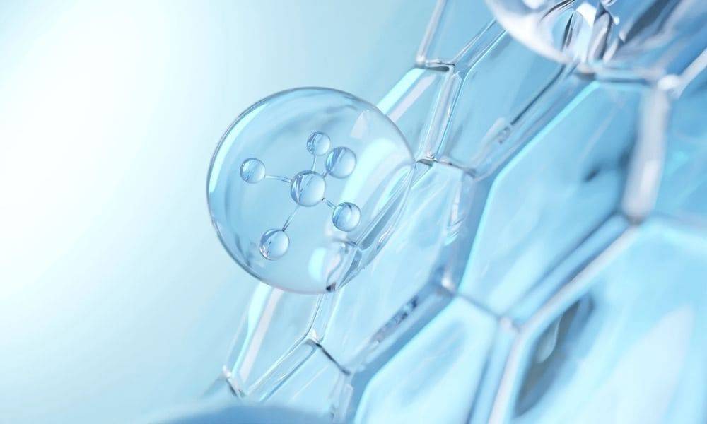 Collagen Biển là một loại protein được chiết xuất từ da và vảy cá