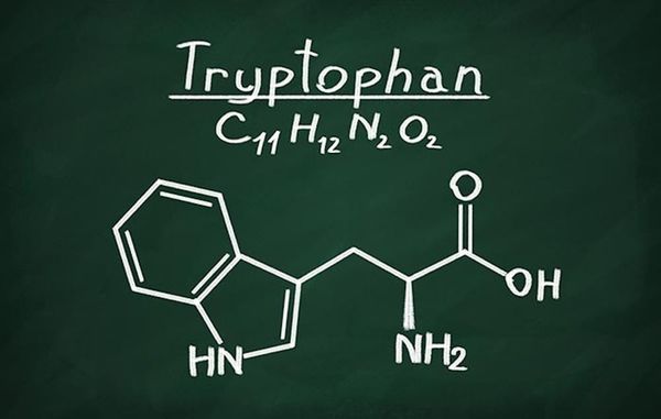 Tryptophan là một loại axit amin thiết yếu cho cơ thể