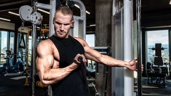 Tryptophan giảm mệt mỏi, hỗ trợ phục hồi cơ bắp cho người tập luyện