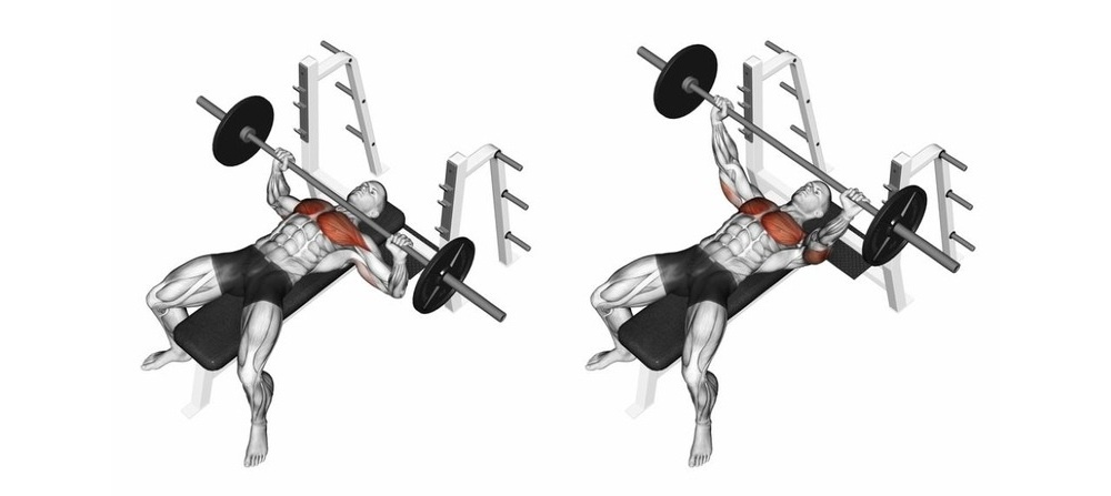 Các nhóm cơ tham gia bench press