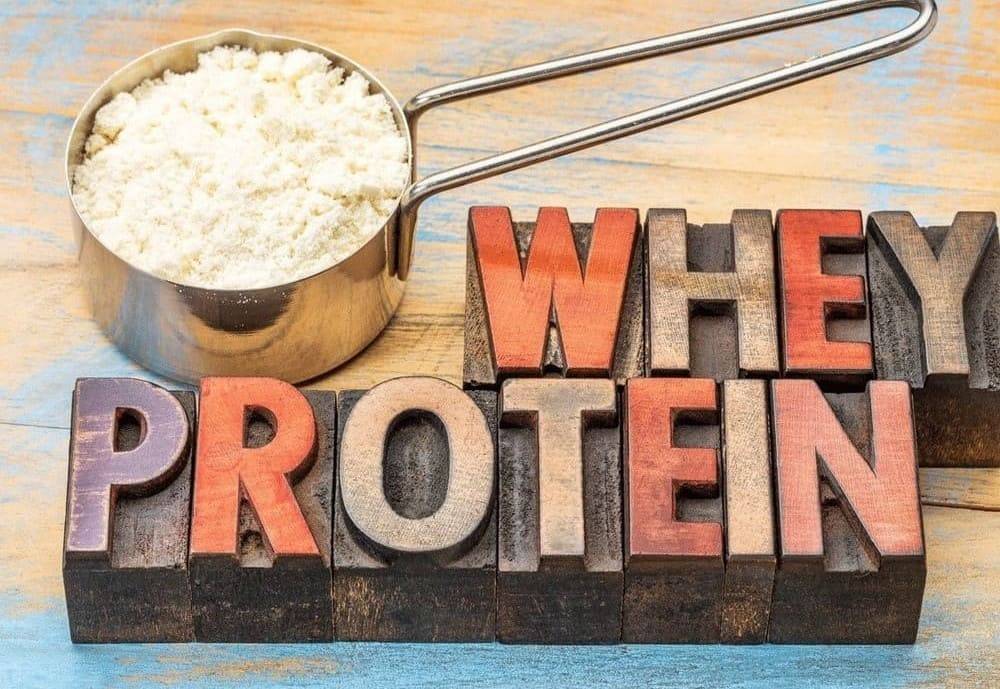 Whey protein được chiết xuất từ sữa bò