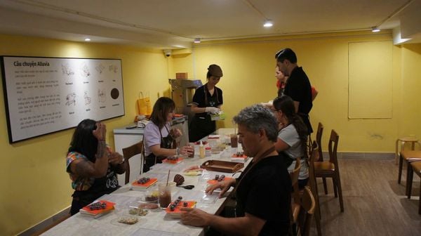 workshop-lam-socola-tai-alluvia