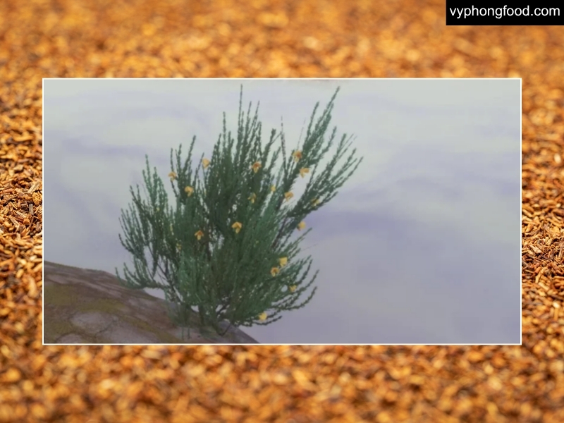 Cup of South African rooibos tea beside a scene from Enshrouded’s Nomad Highlands—caffeine-free herbal drink for wellness and better sleep; African Dawn teabags.