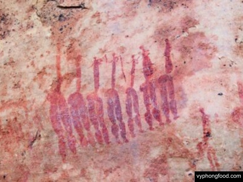 South African Rooibos tea tourism experience with farm tours, tea tasting, cultural heritage, and sustainable farming connecting nature and wellness.