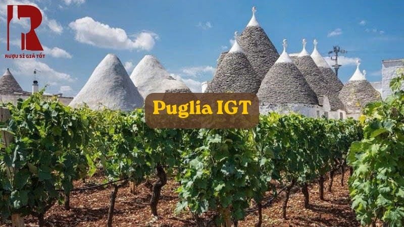 Puglia IGT