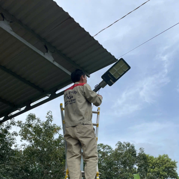 đèn nltm zealsun chống mưa chống nắng