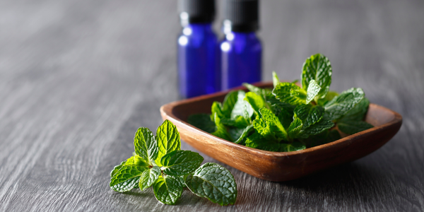 tinhdaudietkhuankhumui