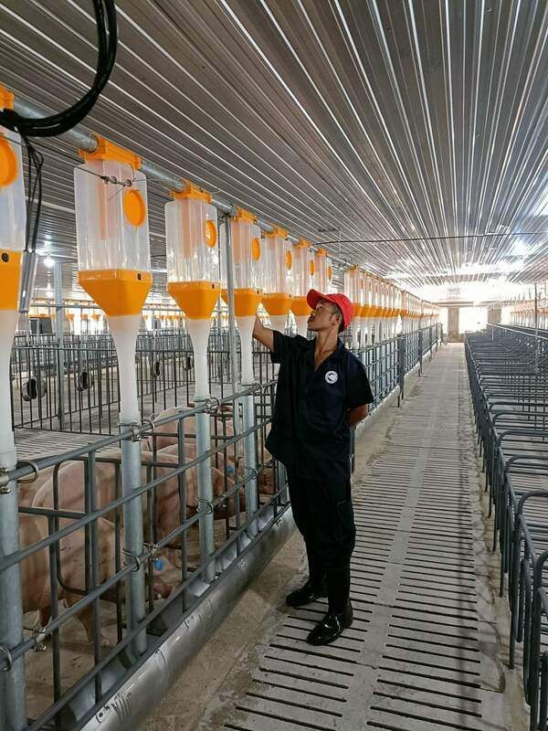 Hình ảnh bài viết