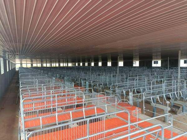 Hình ảnh bài viết