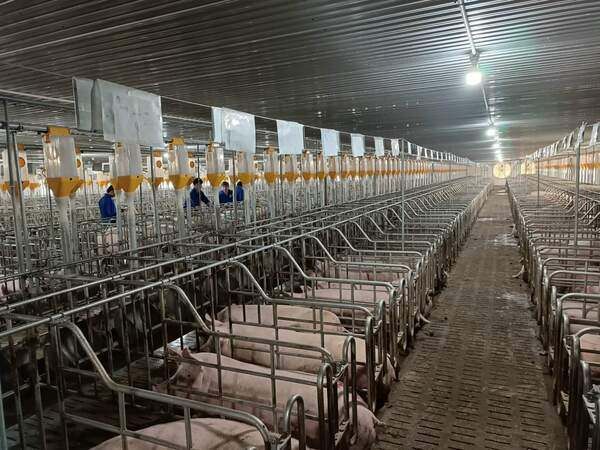 Hình ảnh bài viết