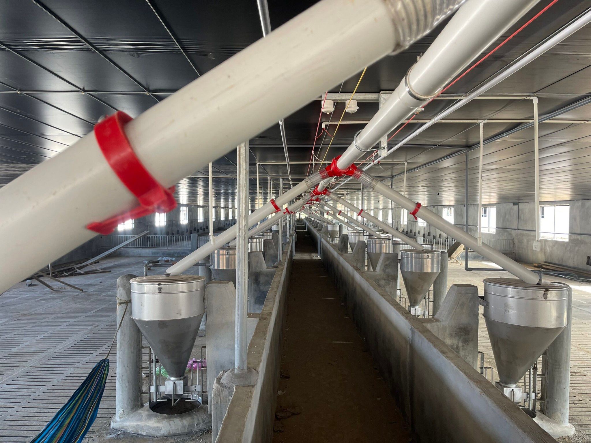 Hình ảnh bài viết