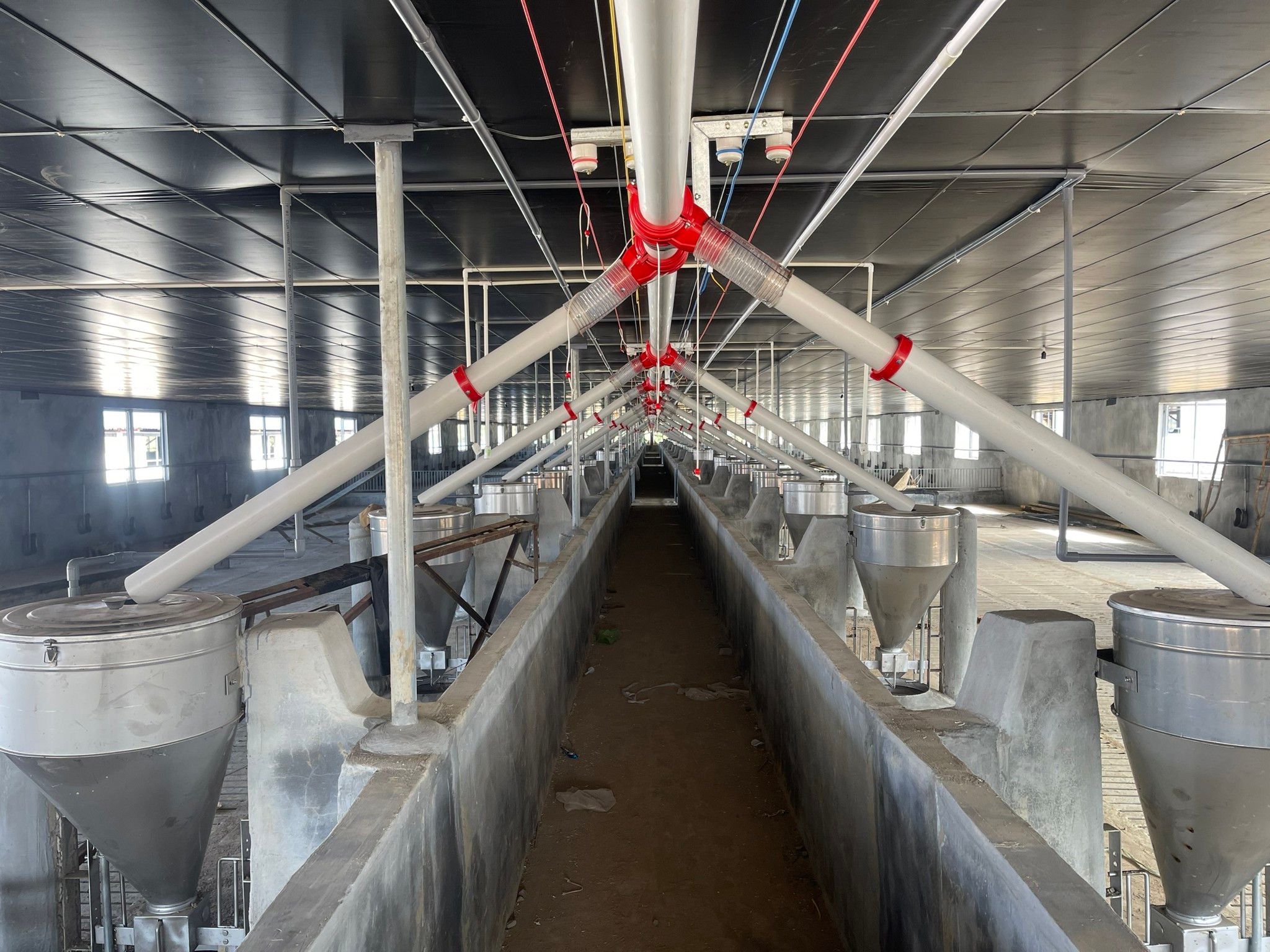 Hình ảnh bài viết