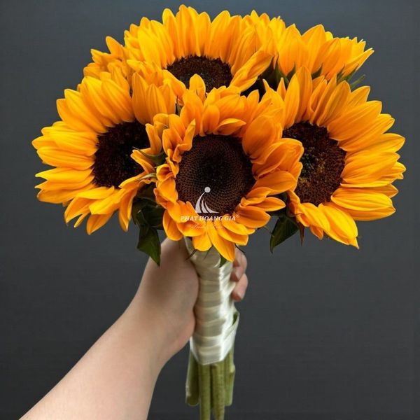 hoa cưới màu cam