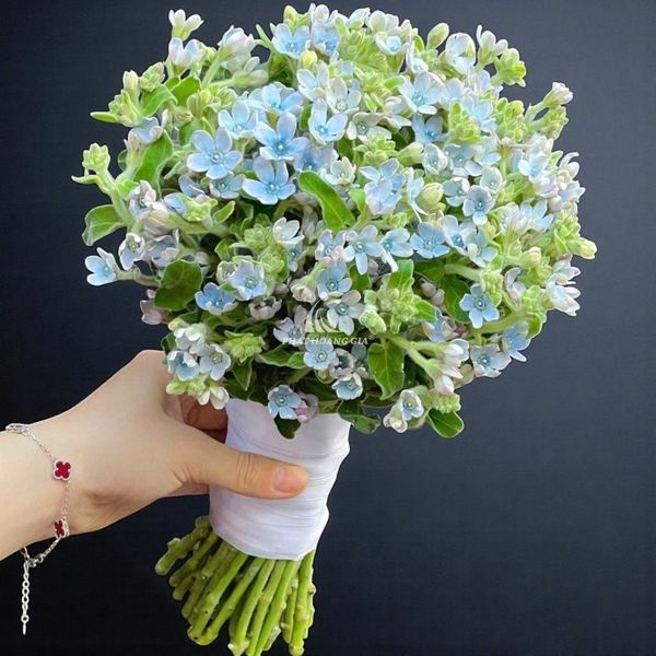 hoa cưới màu trắng